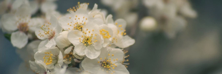 Welcome to lixinbk.cn