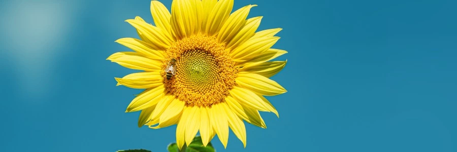 Welcome to lixinbk.cn