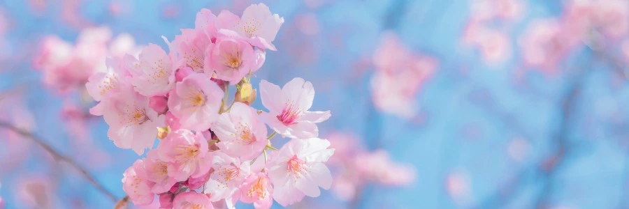 Welcome to lixinbk.cn