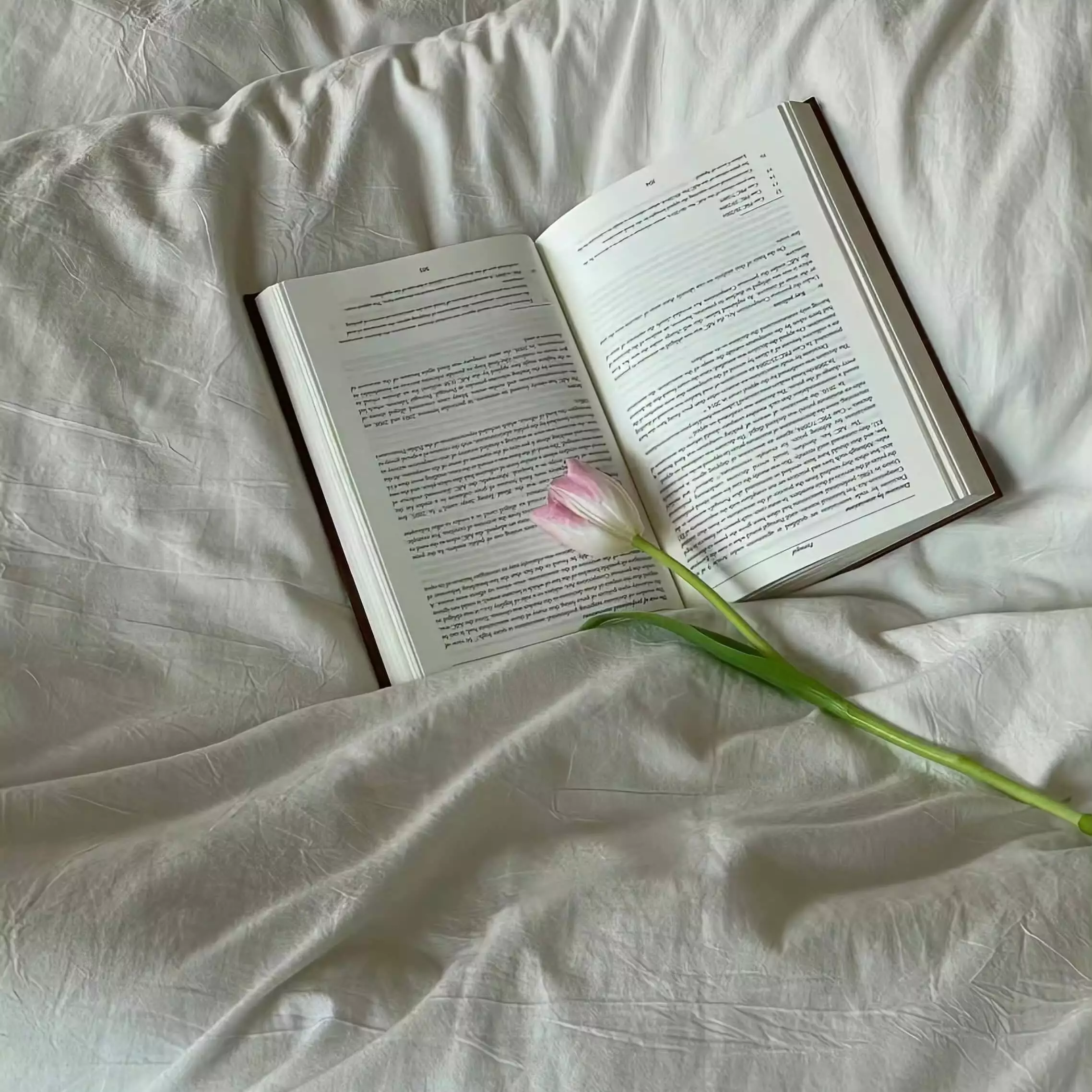 推荐使用AnyViewer远程软件